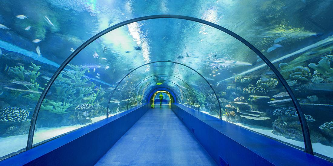  Antalya Aquarium